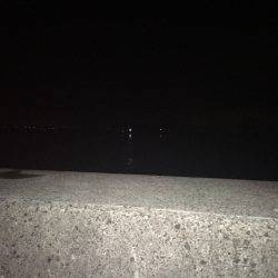 今季初タチウオ！