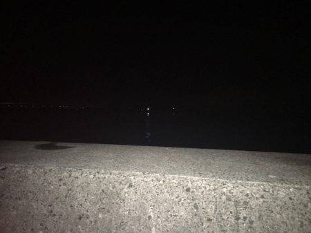 今季初タチウオ！