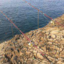 シーズン最後のタマミ狙い