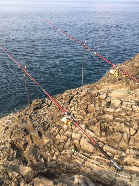 シーズン最後のタマミ狙い