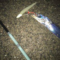 渋い時こそルミノーバ、間違いないです！！