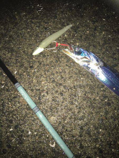 渋い時こそルミノーバ、間違いないです！！