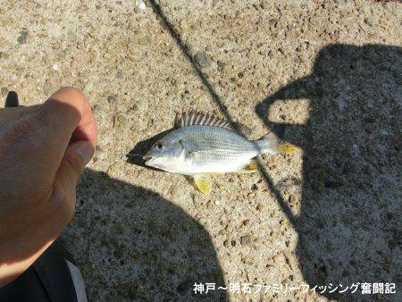 台風通過直後は行くもんじゃない
