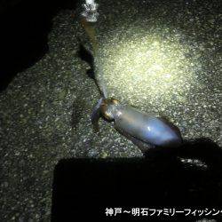 3時間でアオリ2杯