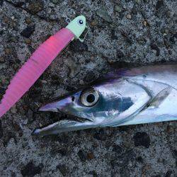 爆釣の武庫一へ!