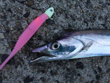 爆釣の武庫一へ!