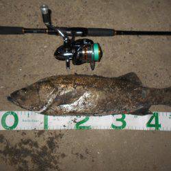 渋くなってきた…。