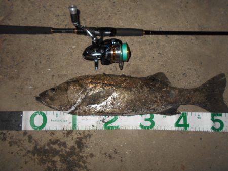 渋くなってきた…。