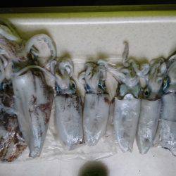 しんこランガン