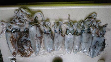 しんこランガン