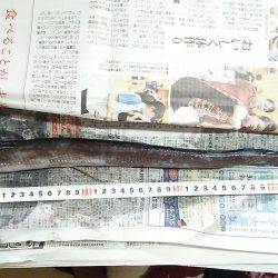 久しぶりの好釣