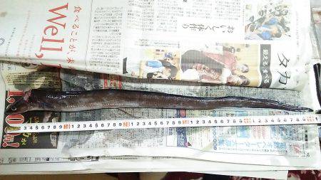 久しぶりの好釣