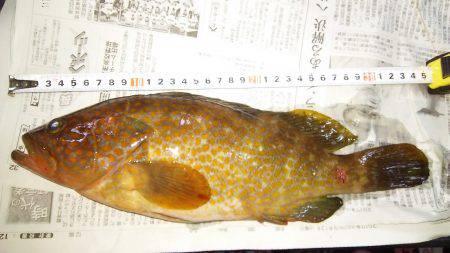 寒くなって釣れなくなったと思ったヤツが！