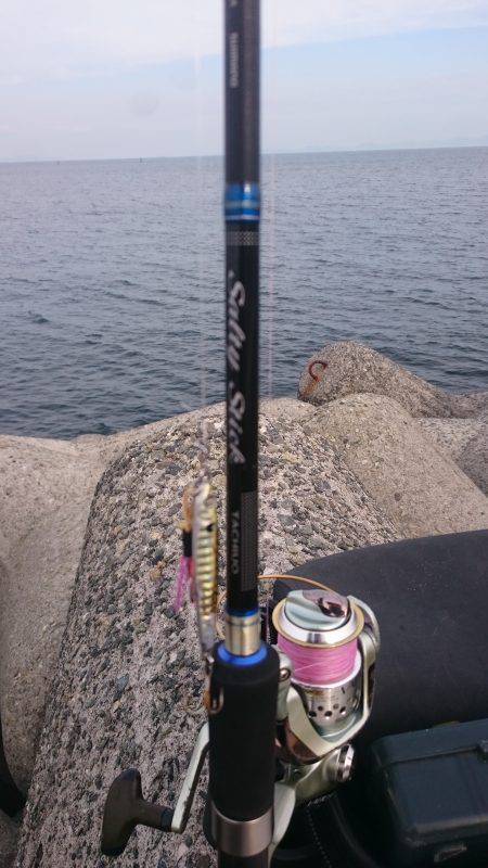 トリプルスリー？達成❗