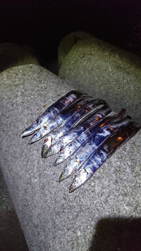 サーベルフィッシュ