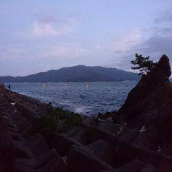 波と風がある日の秋イカ