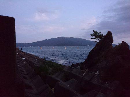 波と風がある日の秋イカ