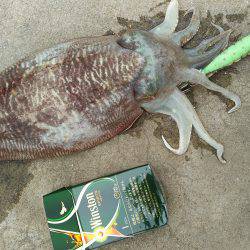 邪道エギングで！！