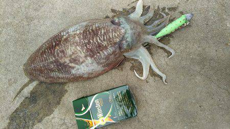 邪道エギングで！！