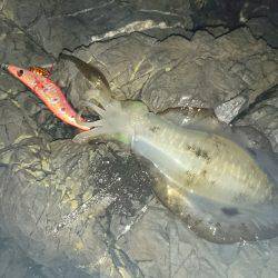 ナイスサイズに変身