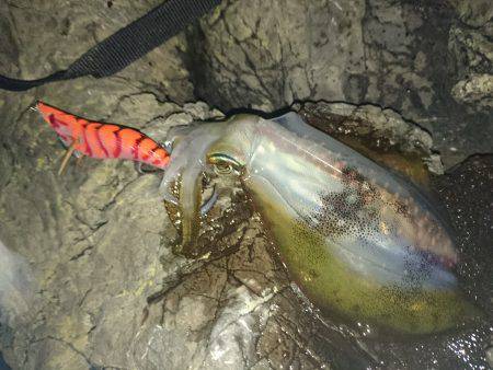 台風前の数釣り(*^^*)♪