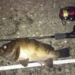 驚愕の野島ポテンシャル！メバルポンポン