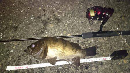 驚愕の野島ポテンシャル！メバルポンポン