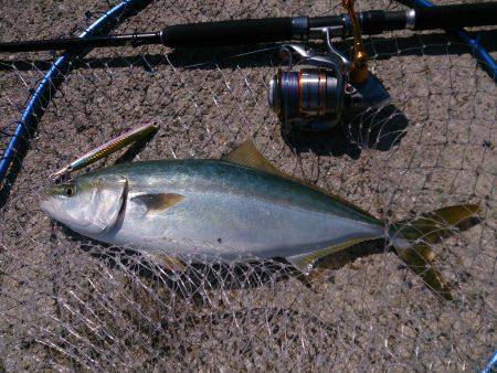 パターンがはまると・・・