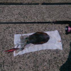 台風が来る前に