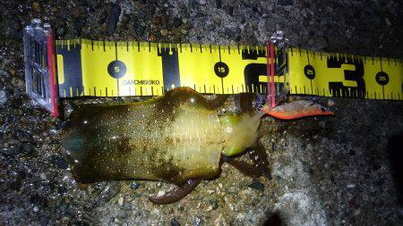 台風が来る前に