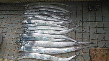 マリーナシティタチウオ