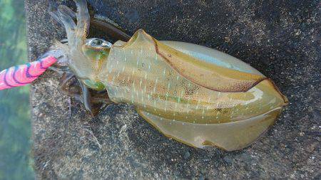 大会余波の混雑