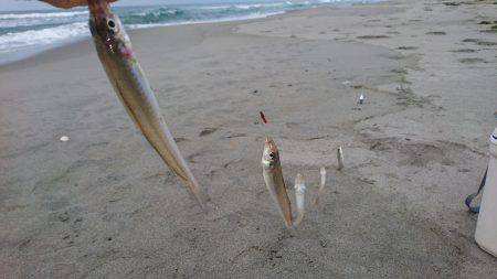 キスフィーバー