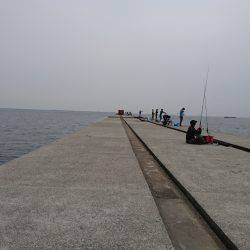 今年初ポーアイ