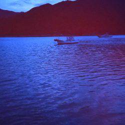 朝マヅメに夏イカGET！！