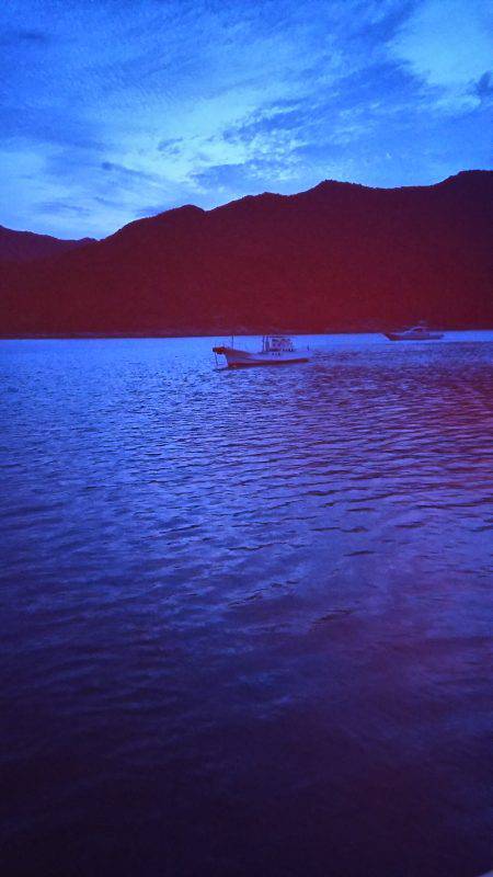 朝マヅメに夏イカGET！！