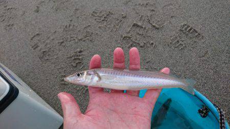 戻ってきたキス