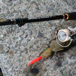 teamゲッソー調査隊