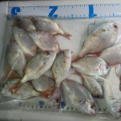 太刀魚釣り、投げ釣り