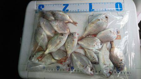 太刀魚釣り、投げ釣り