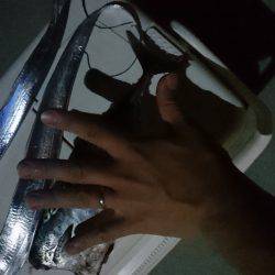 カツオ&タチウオ