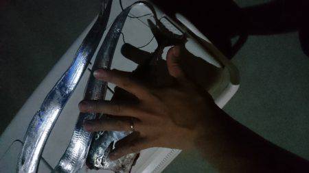 カツオ&タチウオ