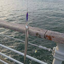シーサイドコスモへ太刀魚を釣りに