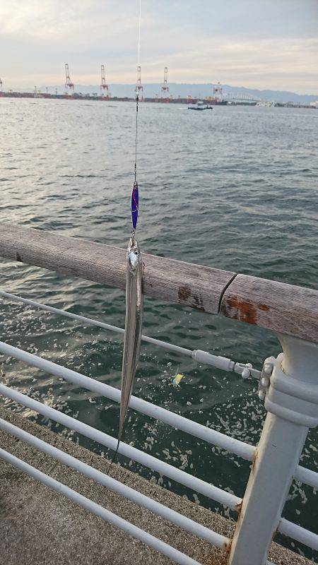 シーサイドコスモへ太刀魚を釣りに