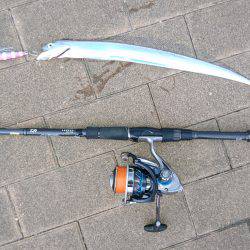 台風前のタチウオ