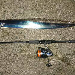 西宮浜タチウオ