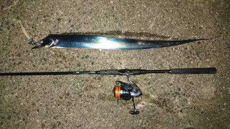 西宮浜タチウオ