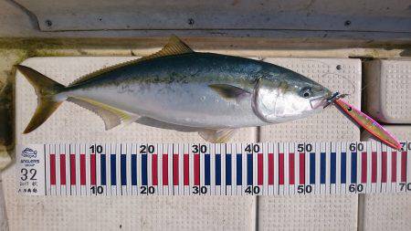 ジギング&タイラバ