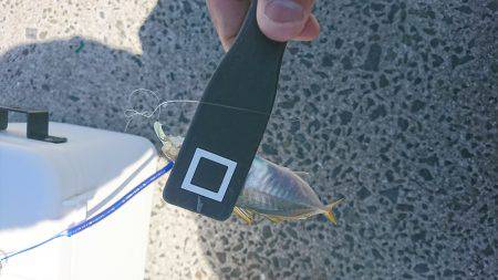 デイアジング？