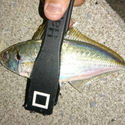 サーフアジング